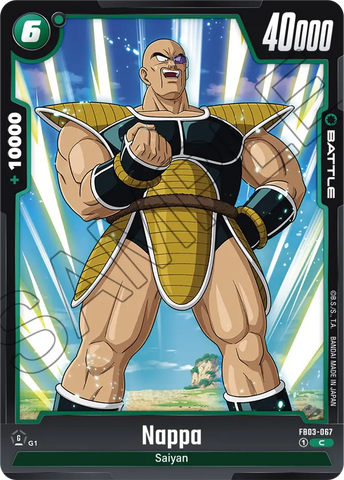 FB03-067 - Nappa - Common