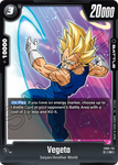 FB05-113 - Vegeta - Rare