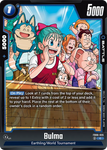 FB06-035 - Bulma - Common