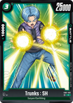 FB07-062 - Trunks : SH - Common