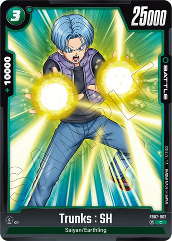 FB07-062 - Trunks : SH - Common