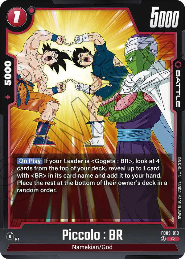 FB09-013 - Piccolo : BR - Rare – Collectors Company