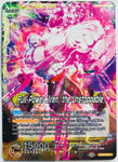 BT9-053 - Full-Power Jiren, the Unstoppable - Leader - Common